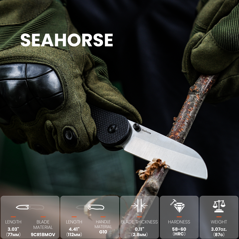 Kizer Seahorse Liner Lock G10 Handle L3009A1 (3.03" Satin)