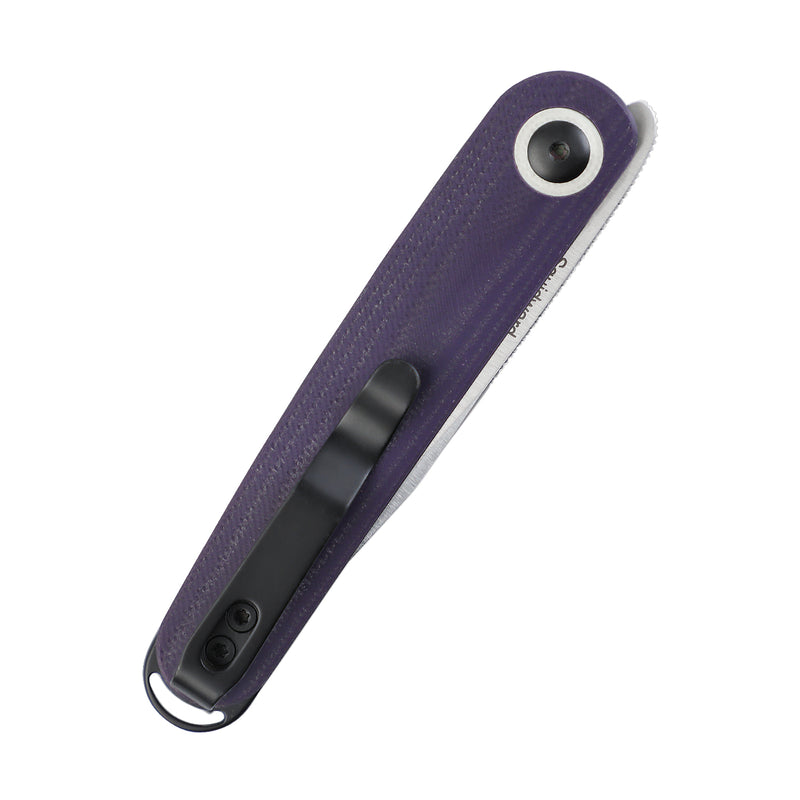 Kizer Azo Squidward Liner Lock Knife Purple G-10 (2.81" Satin) V3604C1
